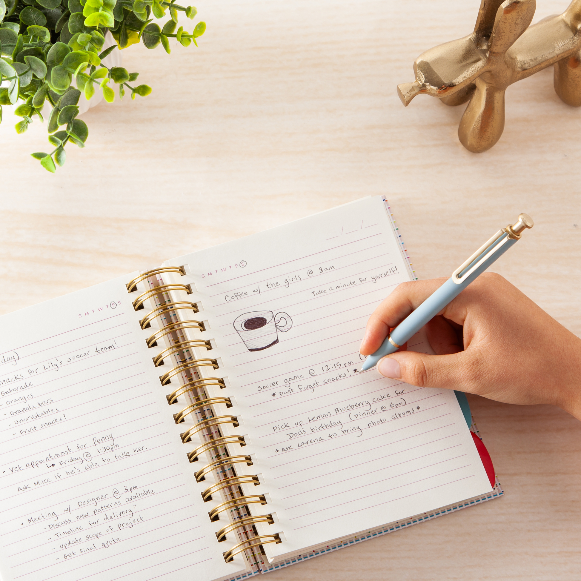 Assorted Colors Color, 3823U04-24