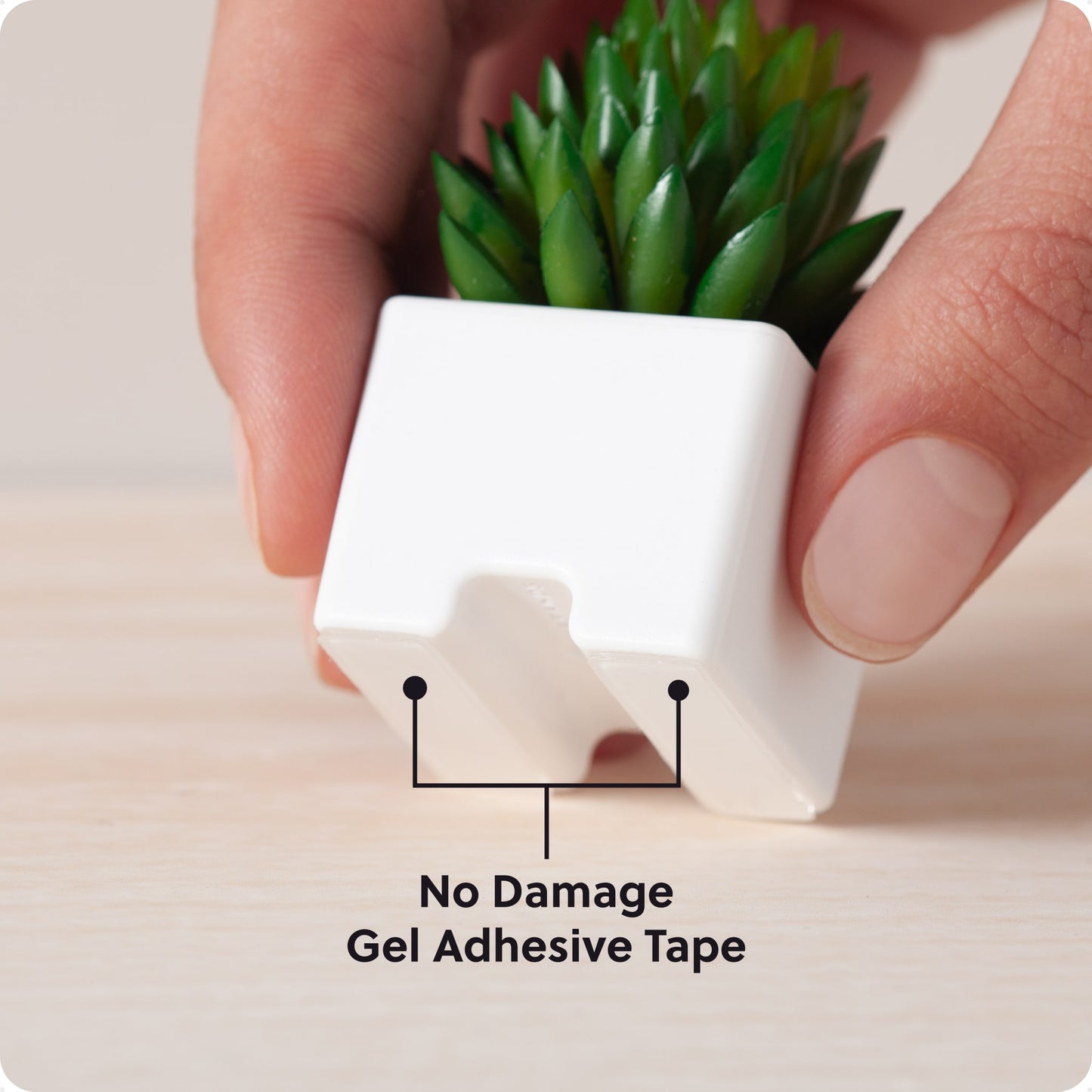 White Color, 7365U06-24