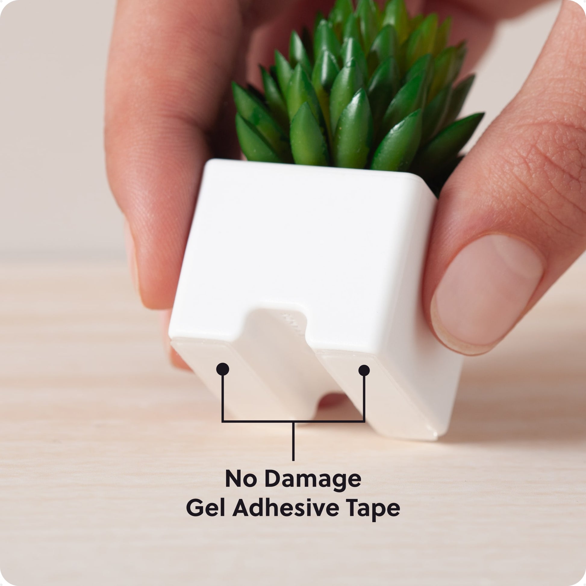 White Color, 7365U06-24