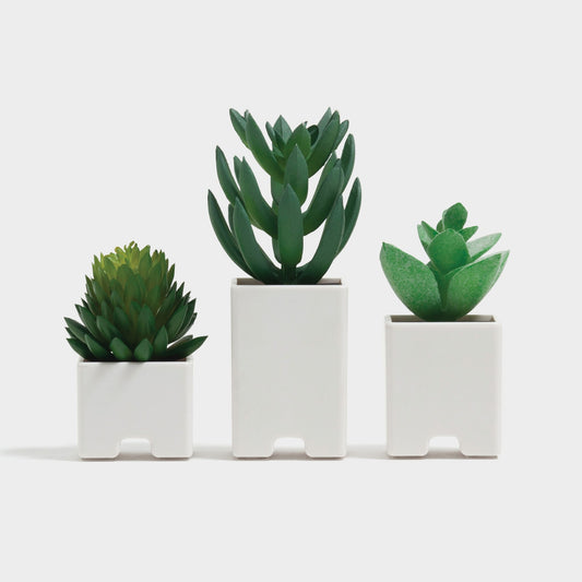 White Color, 7365U06-24