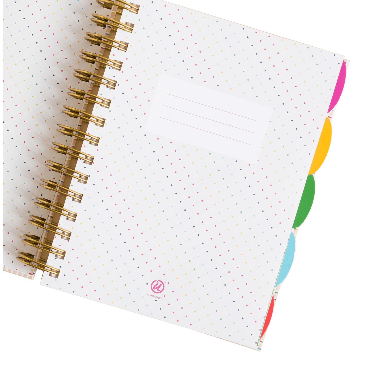 Assorted Colors Color, 3823U04-24