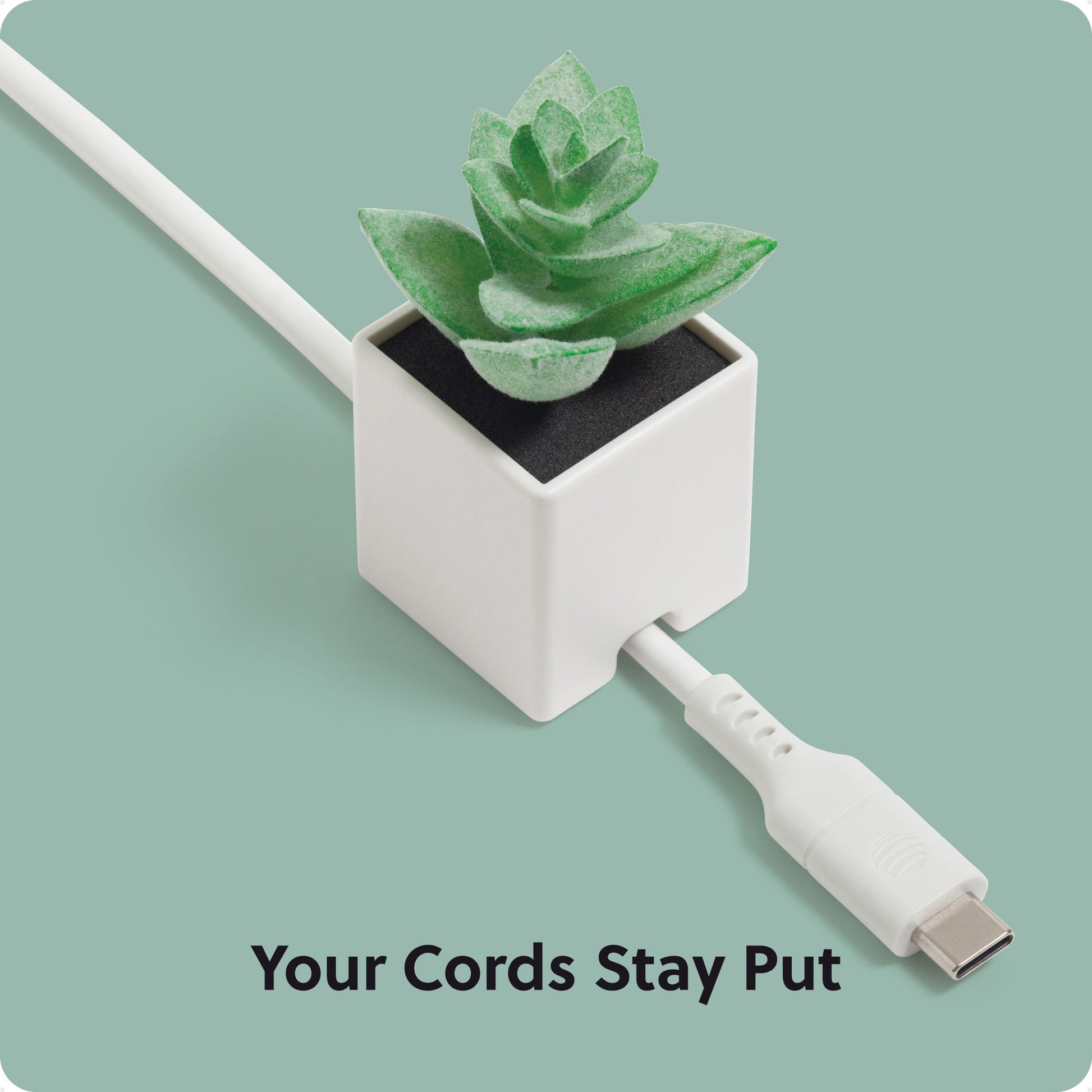 White Color, 7365U06-24