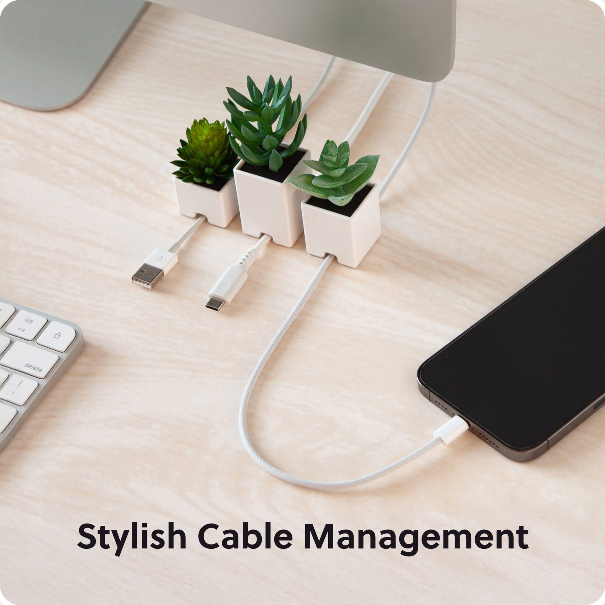 White Color, 7365U06-24