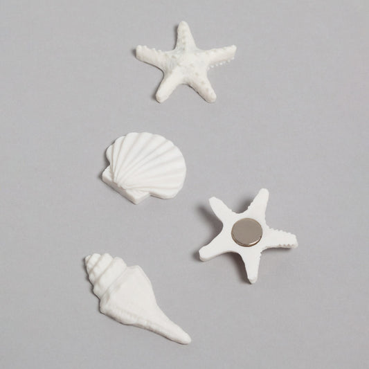 Sea Shells, Magnets 