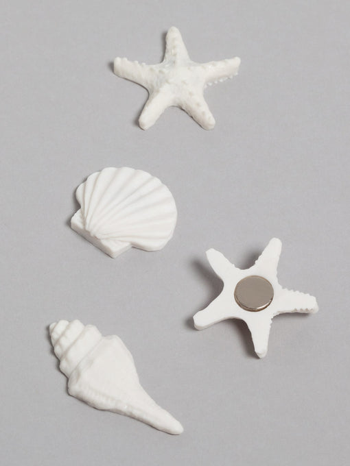 Sea Shells Trend, Magnets Web Product Type 
