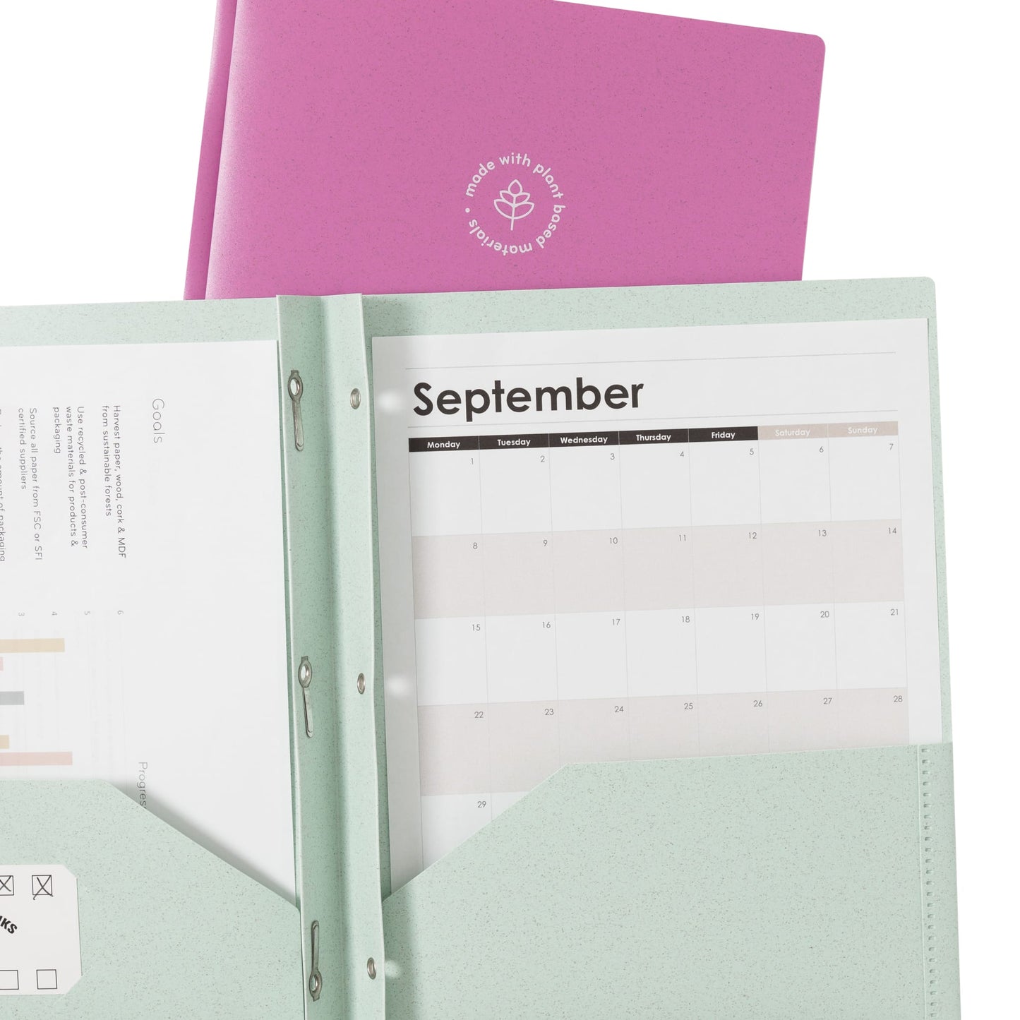 Assorted Colors Color, 6599U01-12