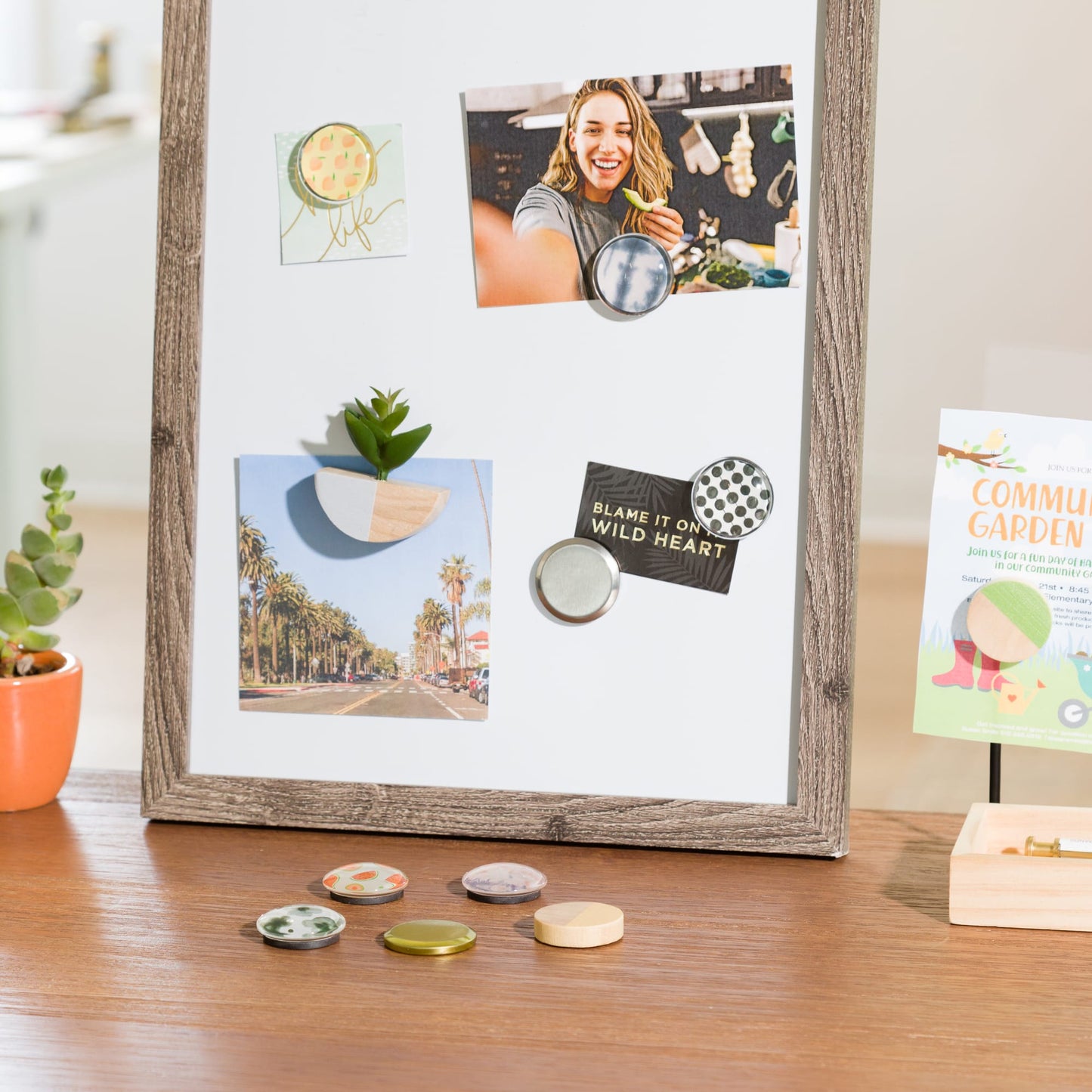 Succulent Attractions, Color Blocked Magnets 