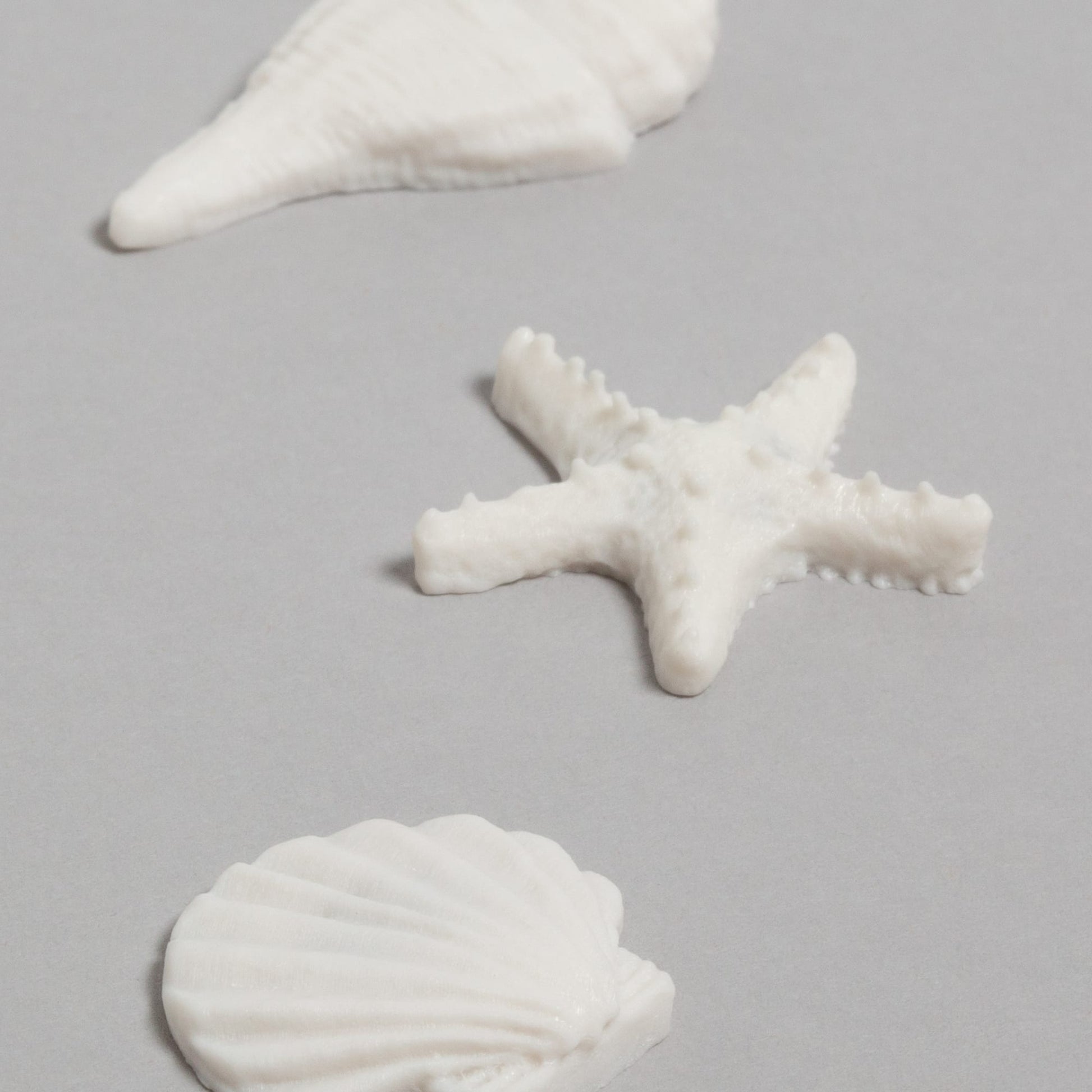 Sea Shells, Magnets 