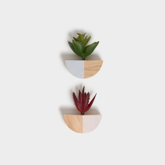 Succulent Attractions, Color Blocked Magnets 