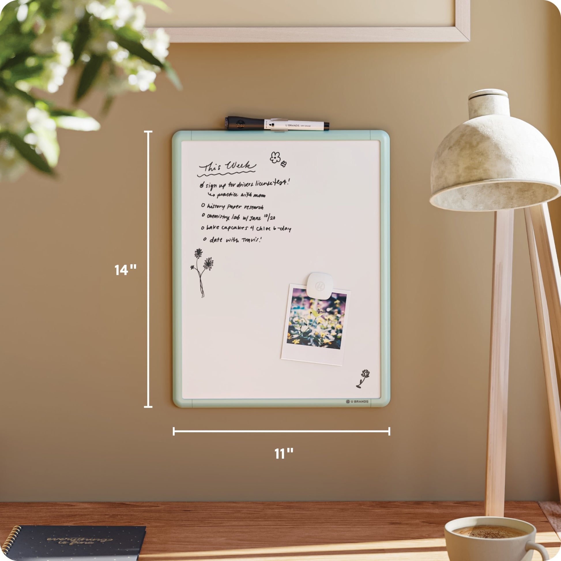 Contempo, Dry Erase Board, Green, 11" X 14" 