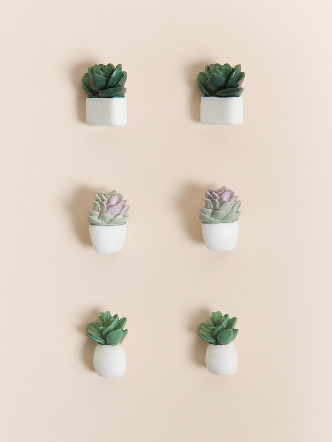 Potted Succulent Push Pins, Set of 6